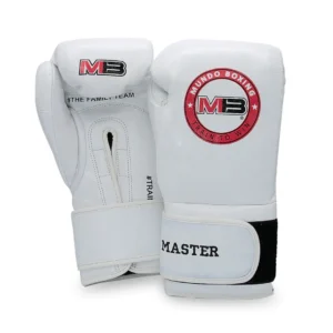 Boxing Master