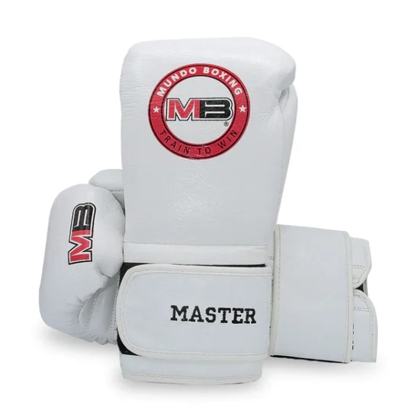 Boxing Master - Image 2