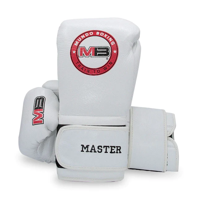 Boxing Master - Image 2