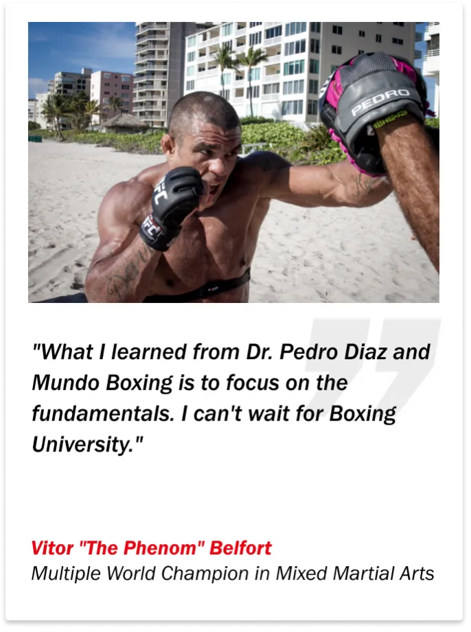 Profesional training Mundo Boxing