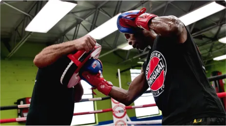 Certifications online Mundo Boxing