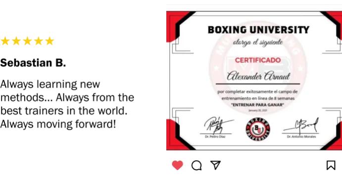 Profesional training Mundo Boxing