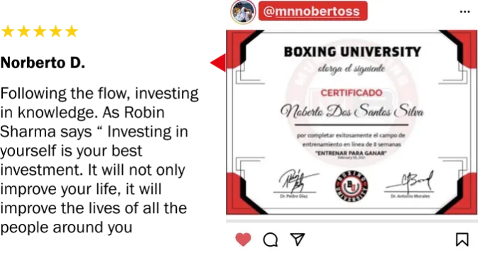 Profesional training Mundo Boxing