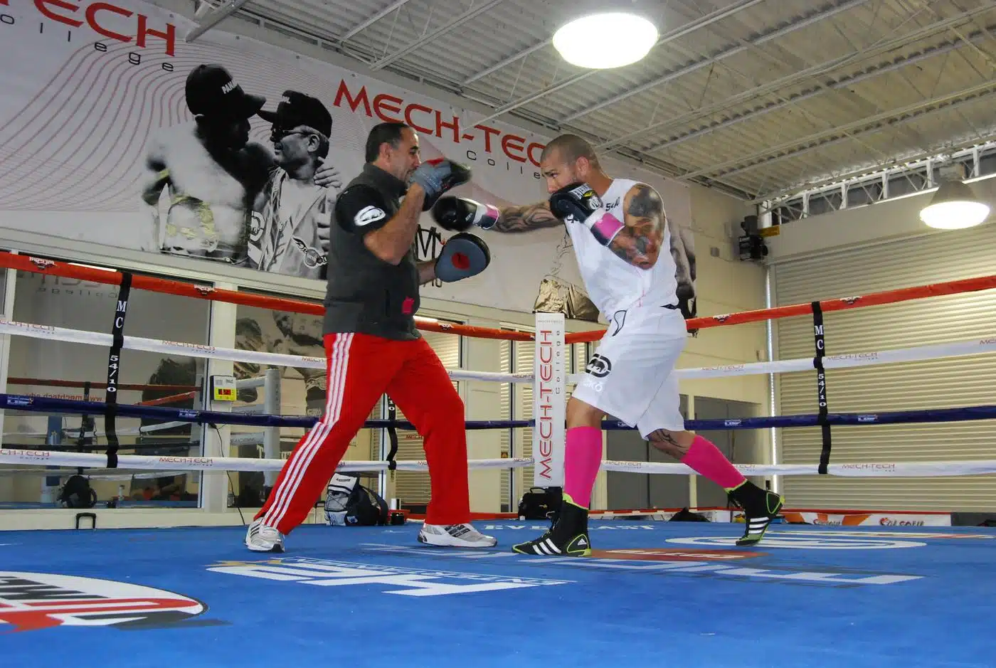Miguel Cotto